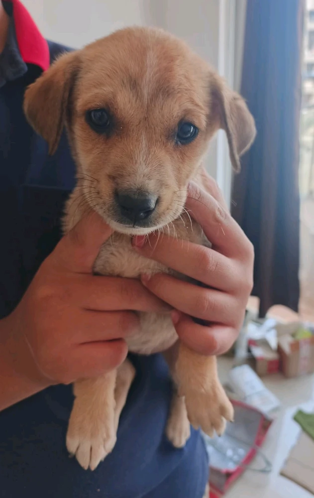 Image uploaded by Yogesh