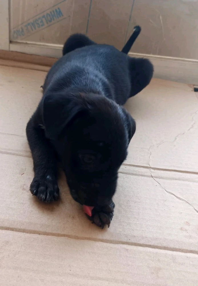 Image uploaded by Yogesh