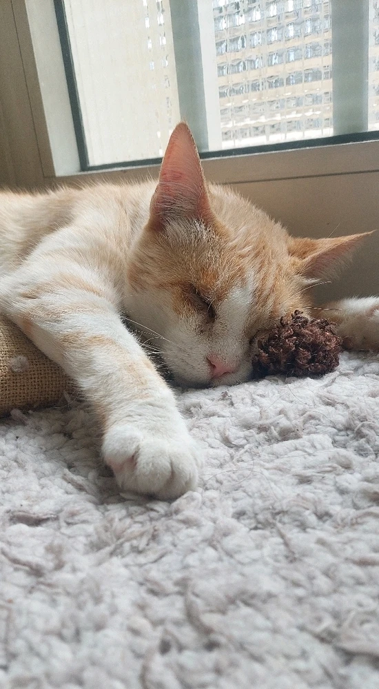 Image uploaded by Marios