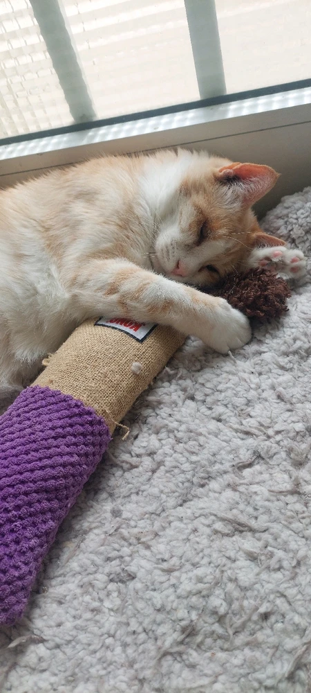 Image uploaded by Marios