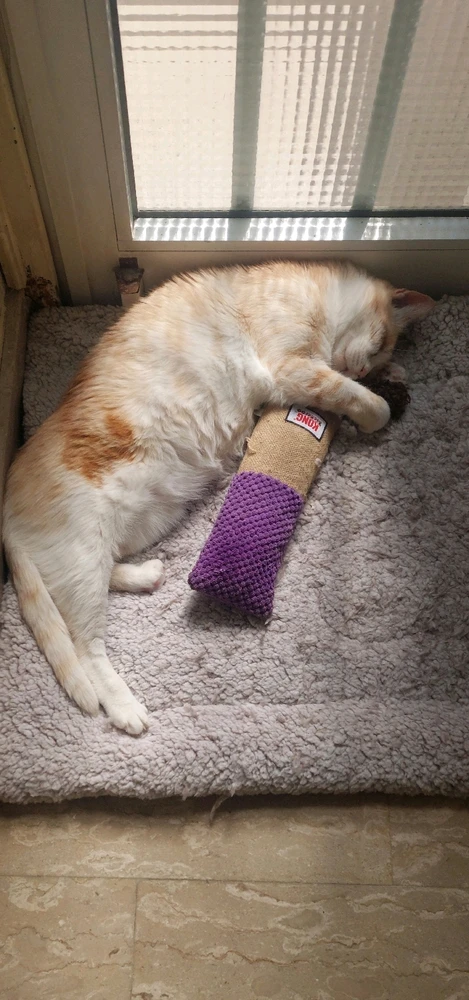 Image uploaded by Marios