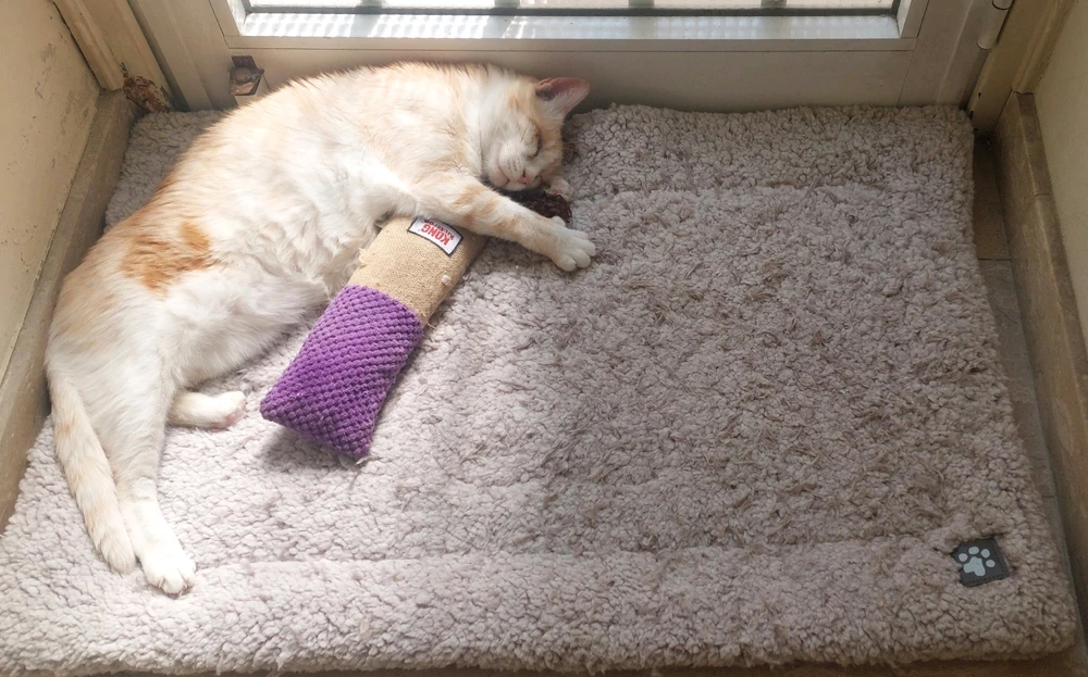 Image uploaded by Marios