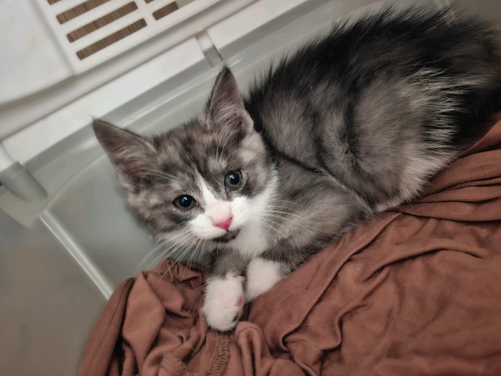 GIF uploaded by Nylej