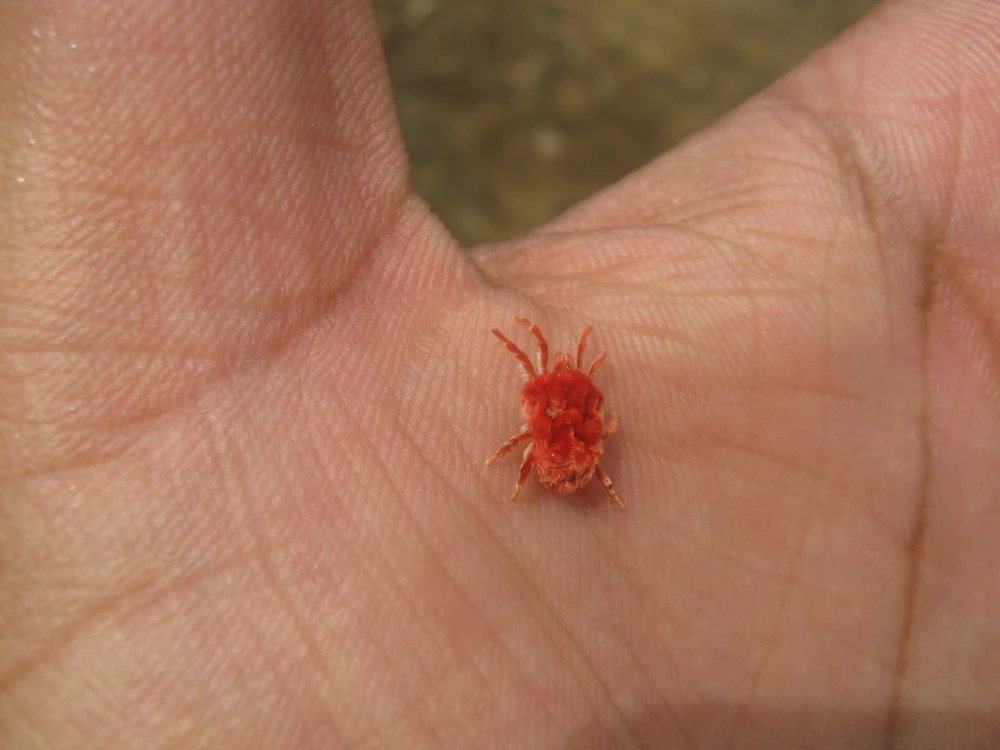 GIF uploaded by One Heart