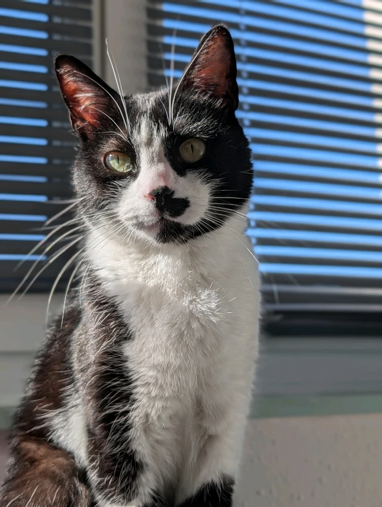 GIF ajouté par Martin