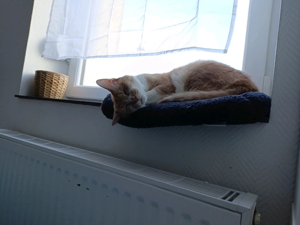 GIF ajouté par Pauline