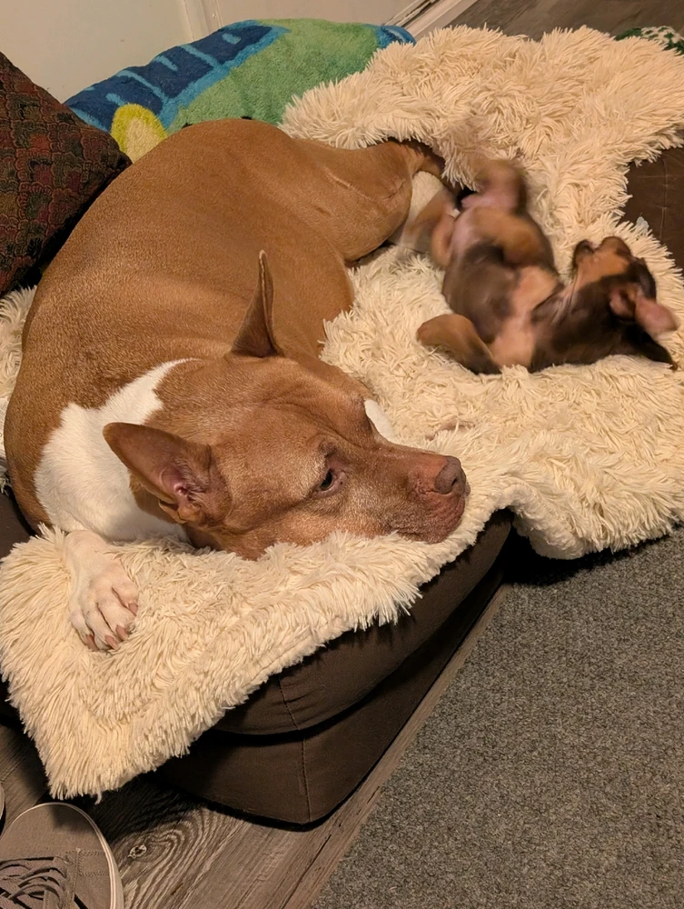 GIF uploaded by Dallia