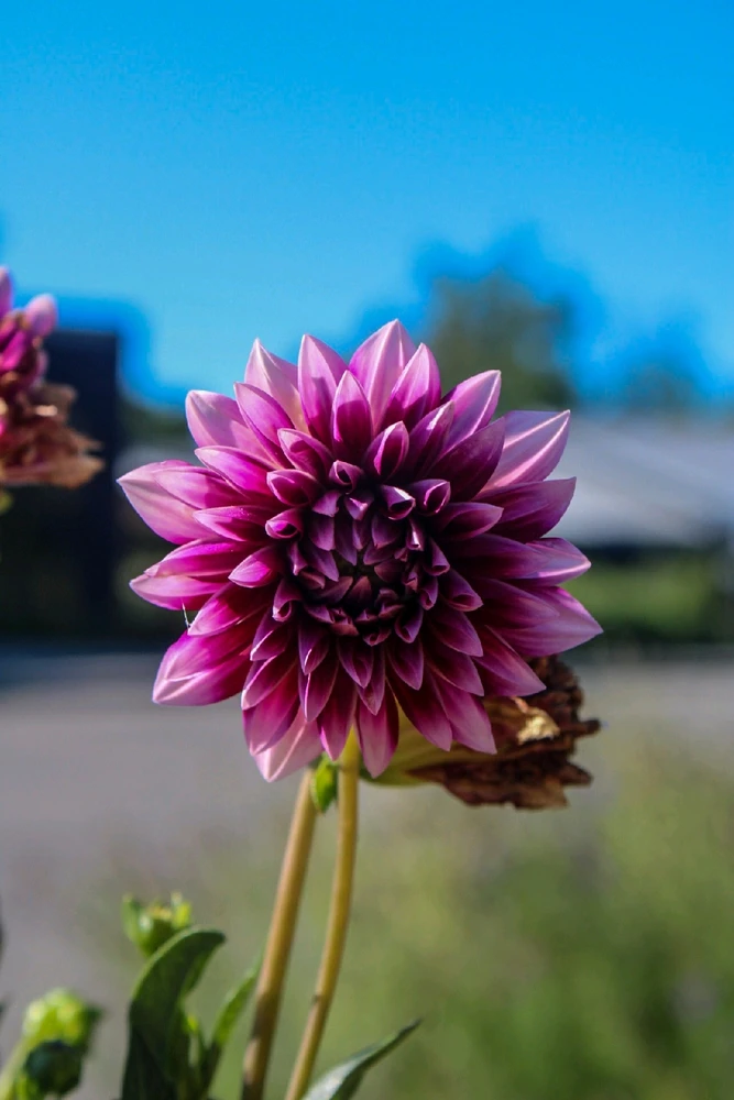 GIF uploaded by Bill