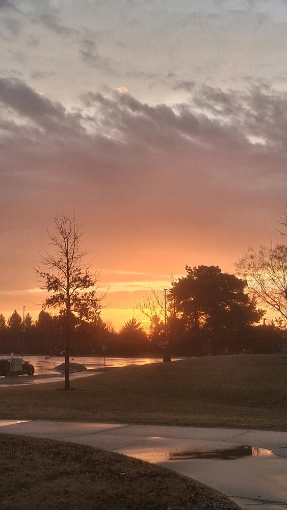 GIF uploaded by Link