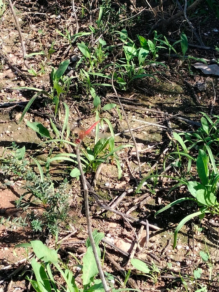 GIF subido por Joaquín