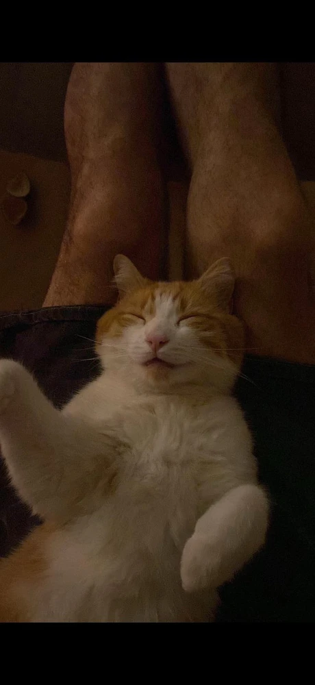 GIF uploaded by Iago