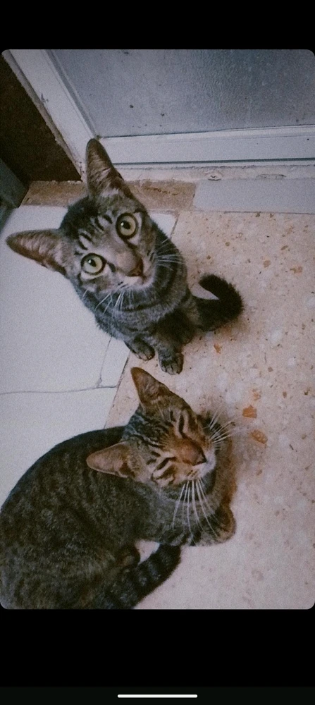 GIF uploaded by Daisy