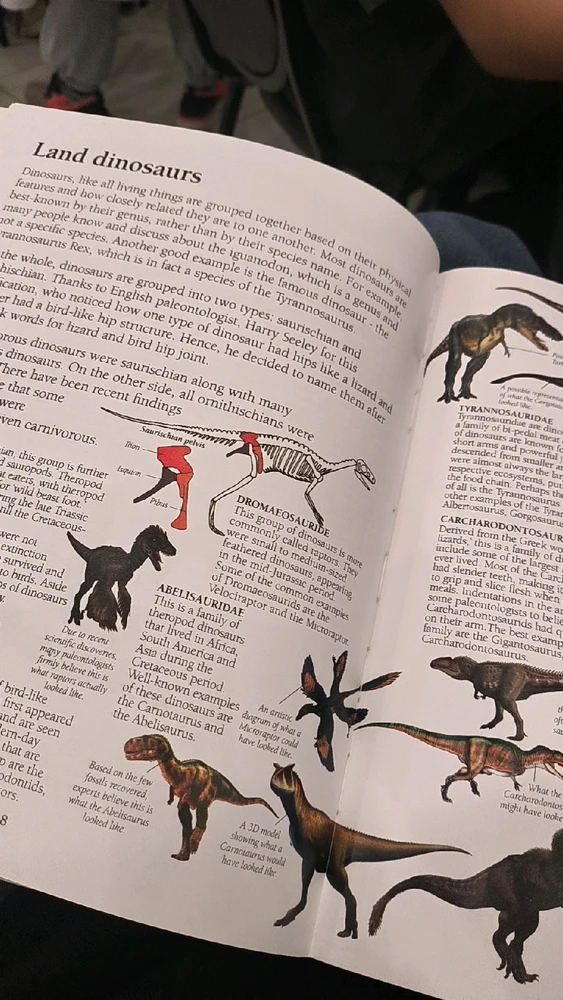 Image uploaded by Lili