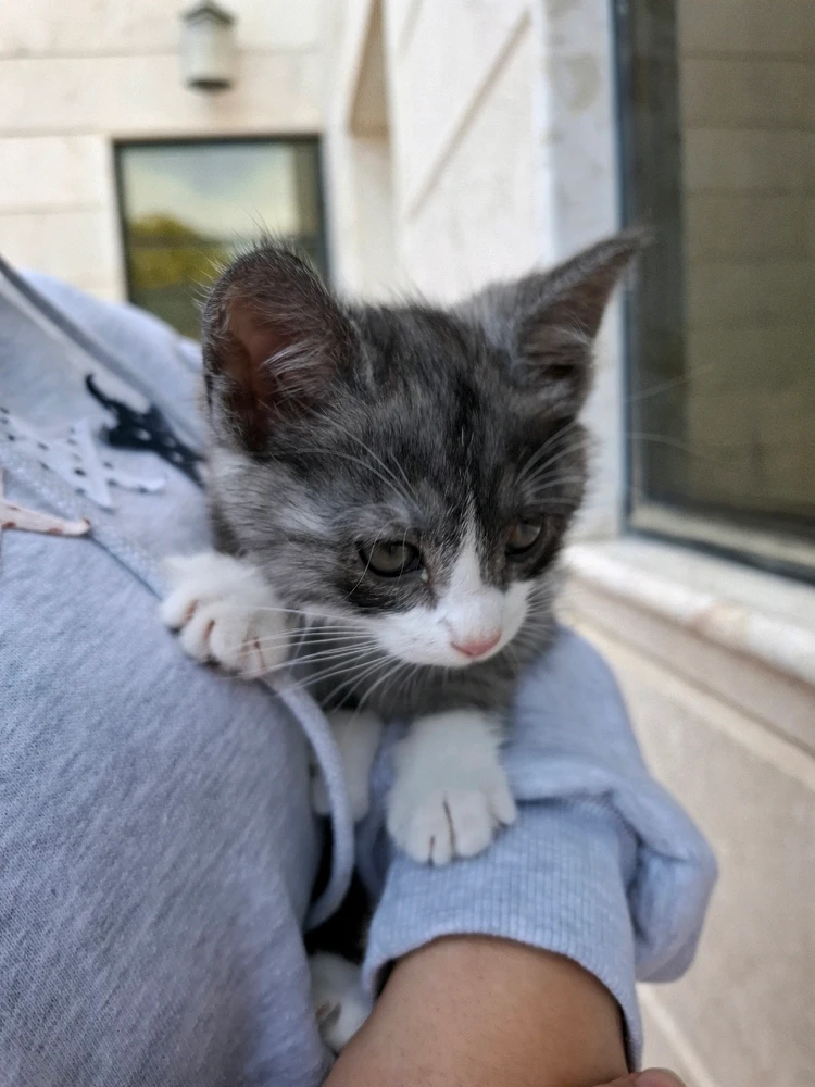 Image uploaded by Nylej