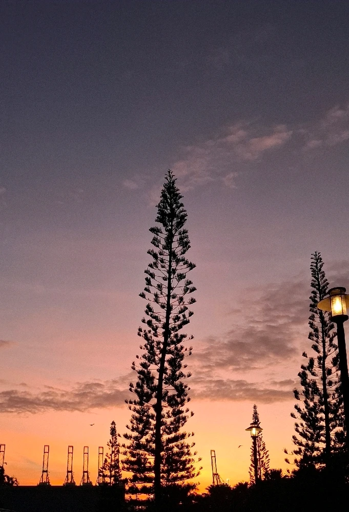 GIF uploaded by Jane