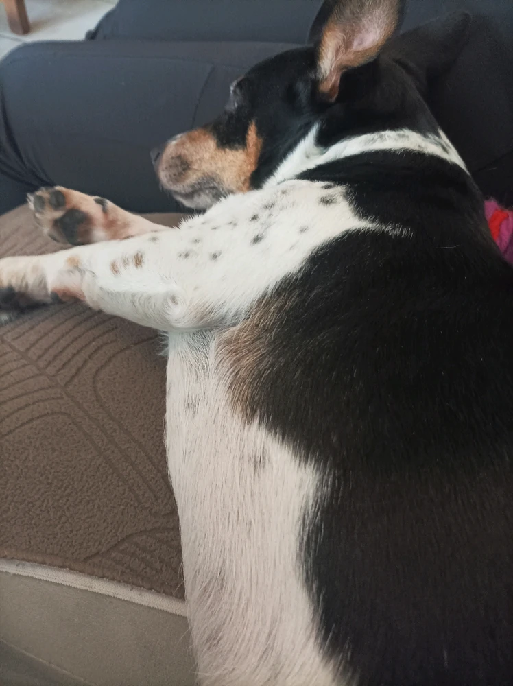 Image ajoutée par Gregoire