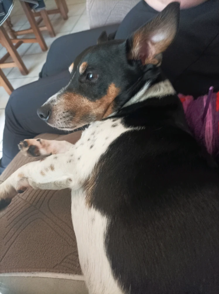 Image ajoutée par Gregoire