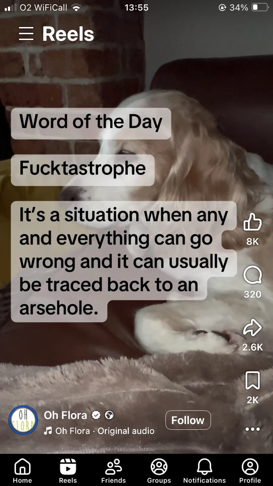 GIF uploaded by Leon Allen