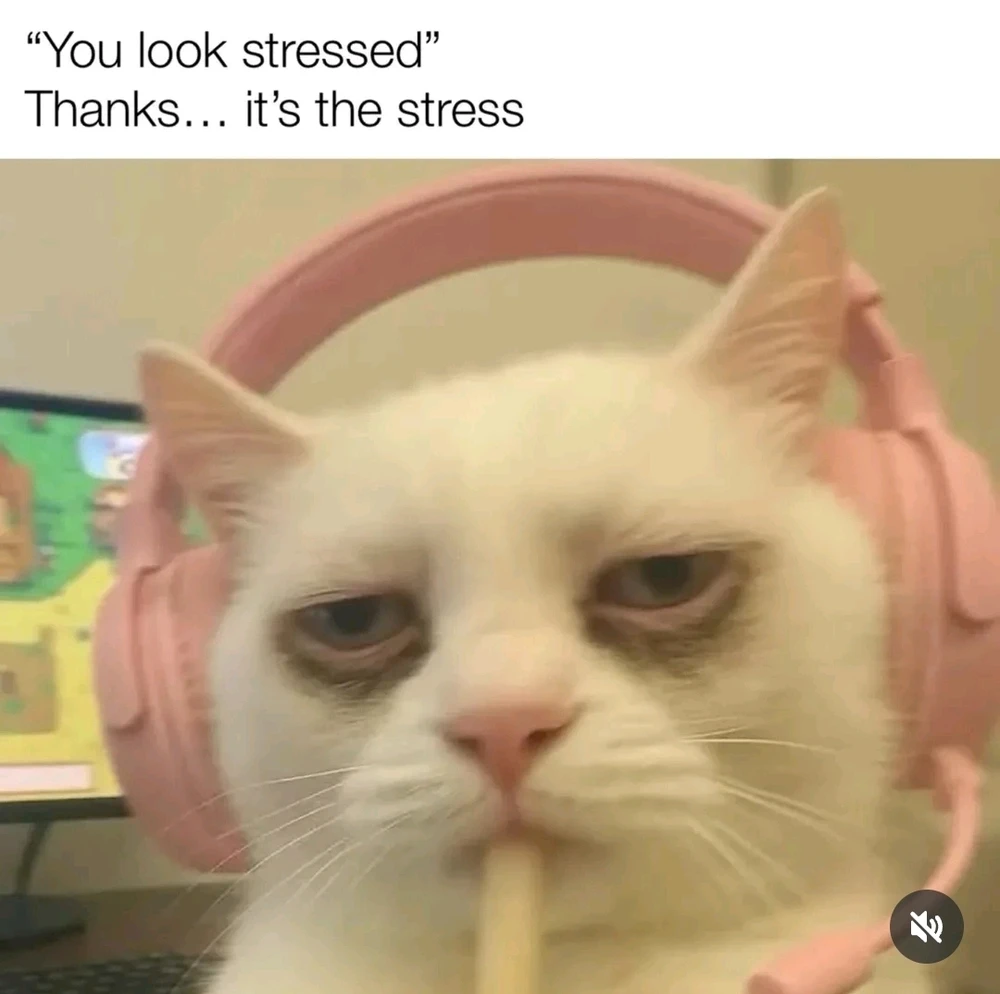 GIF hochgeladen von Kev