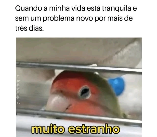 GIF enviado por Wesley