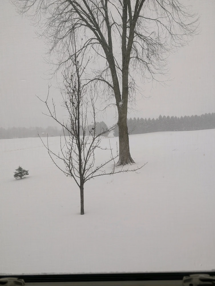 Image uploaded by Dovahkiin ツ