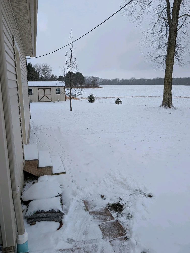 Image uploaded by Dovahkiin ツ