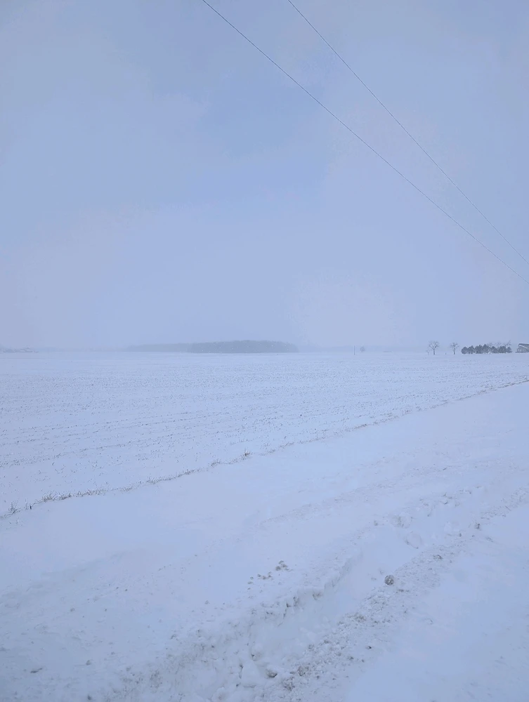 Image uploaded by Dovahkiin ツ