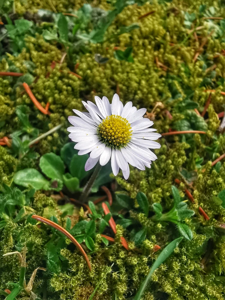 GIF hochgeladen von Martina