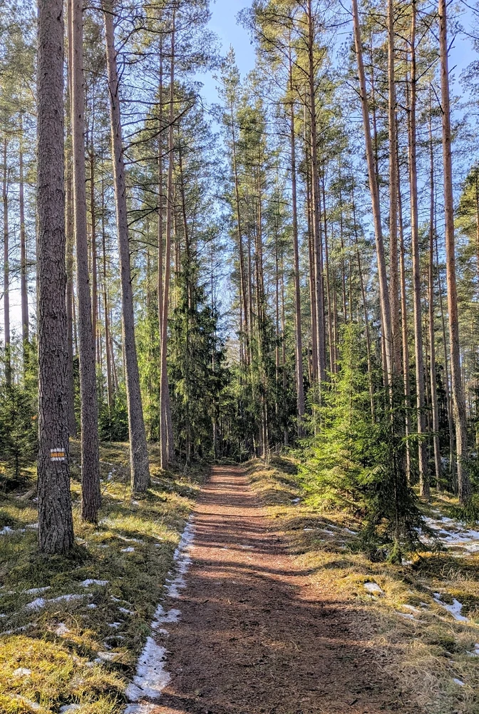 Image uploaded by Nadia