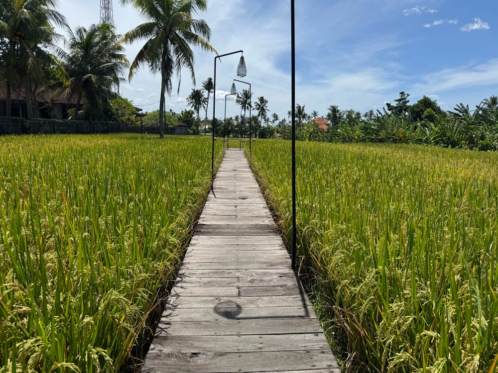 Зображення завантажив Ivanna