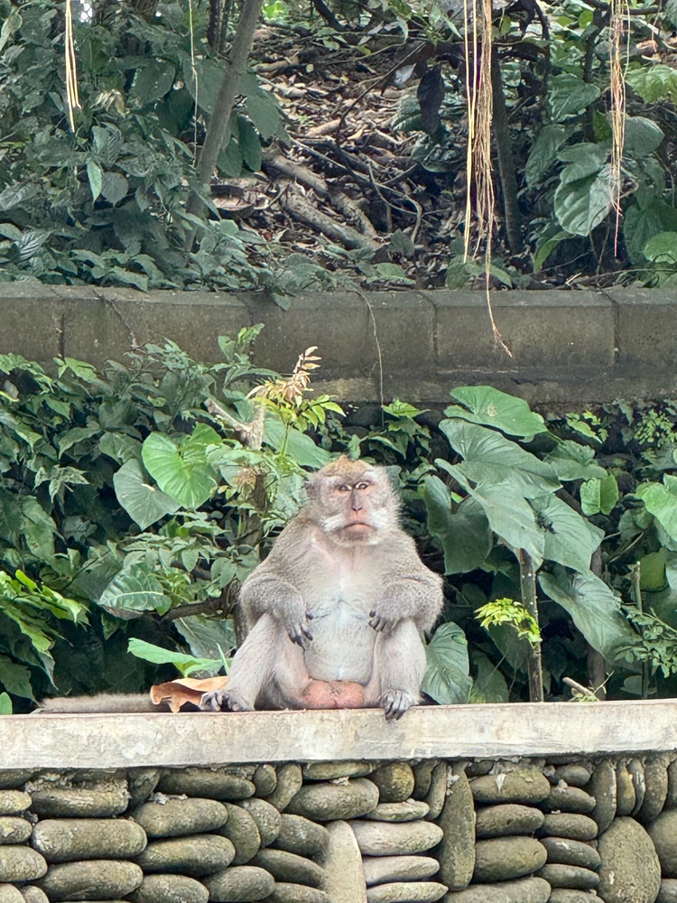 Зображення завантажив Ivanna