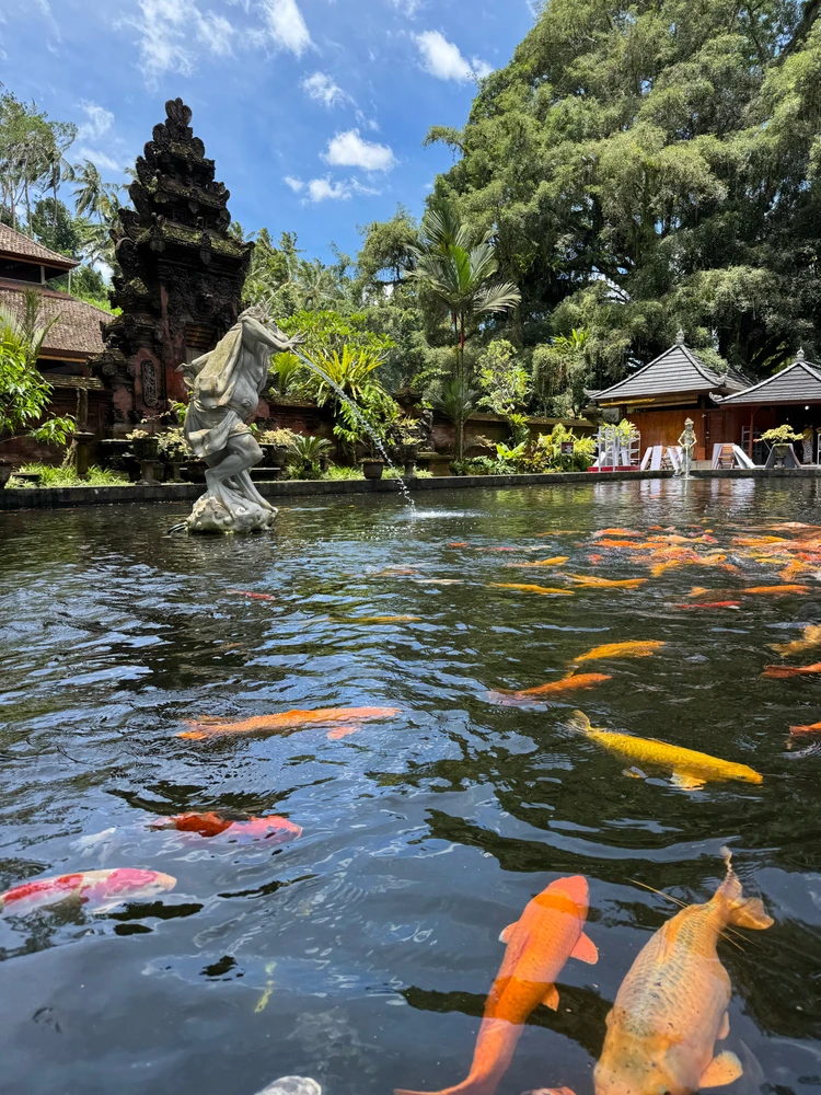 Зображення завантажив Ivanna