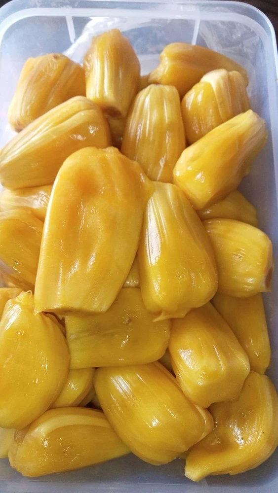 Image uploaded by Dianne F