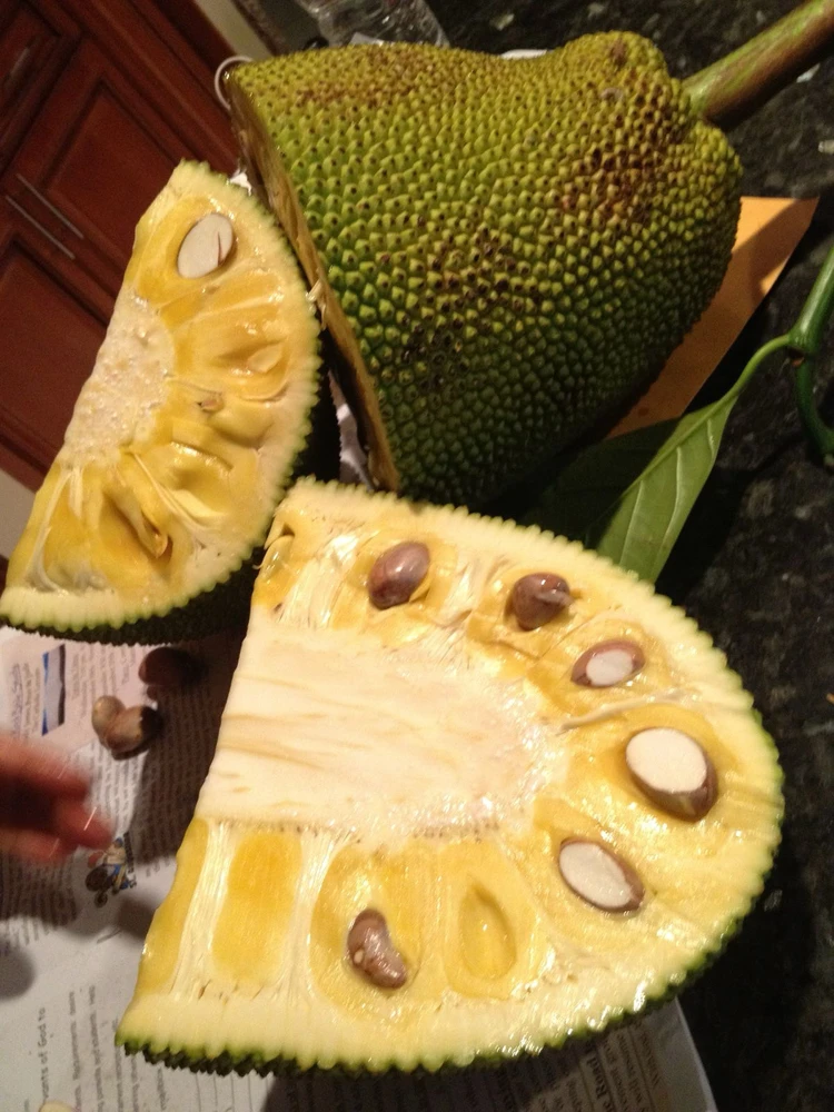 Image uploaded by Dianne F