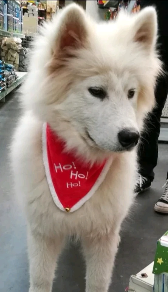 Image uploaded by Sirius