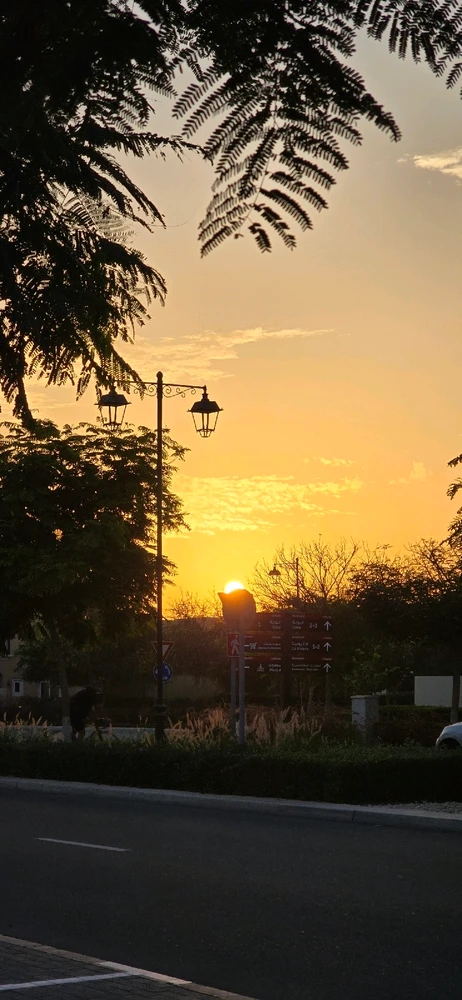 Image uploaded by Gheng