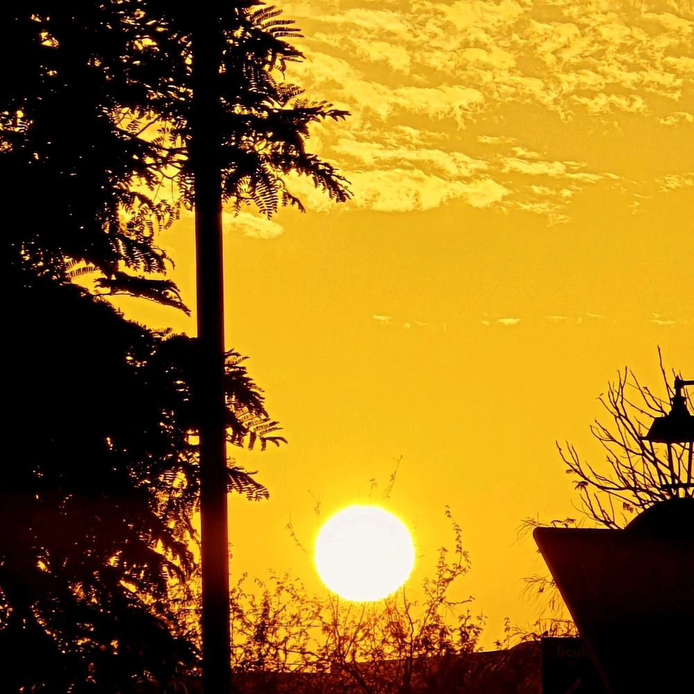 Image uploaded by Gheng