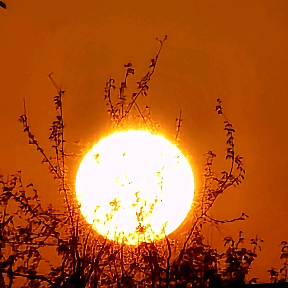 Image uploaded by Gheng