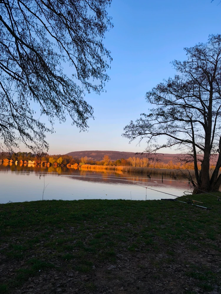 Atti által feltöltött GIF