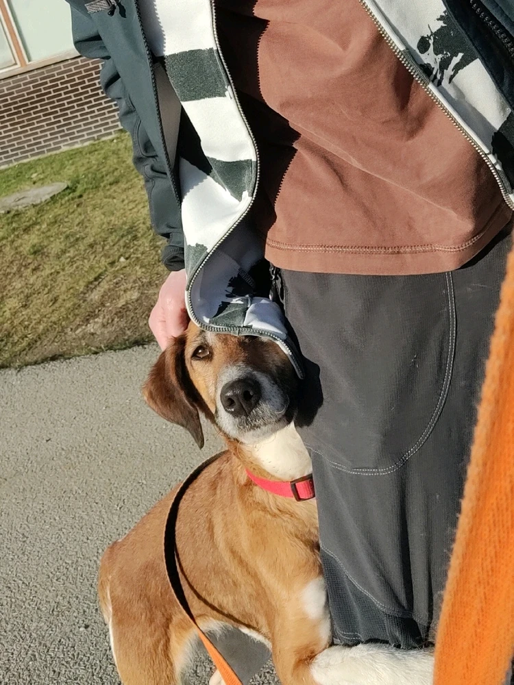 Fotku nahral/-a Matúš