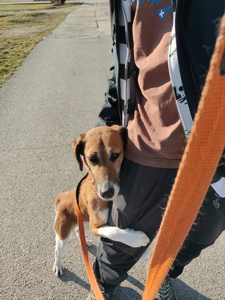 Fotku nahral/-a Matúš