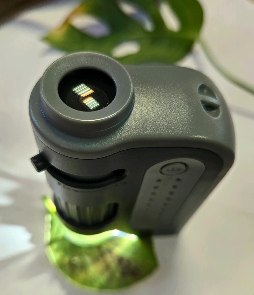 Image uploaded by Maria