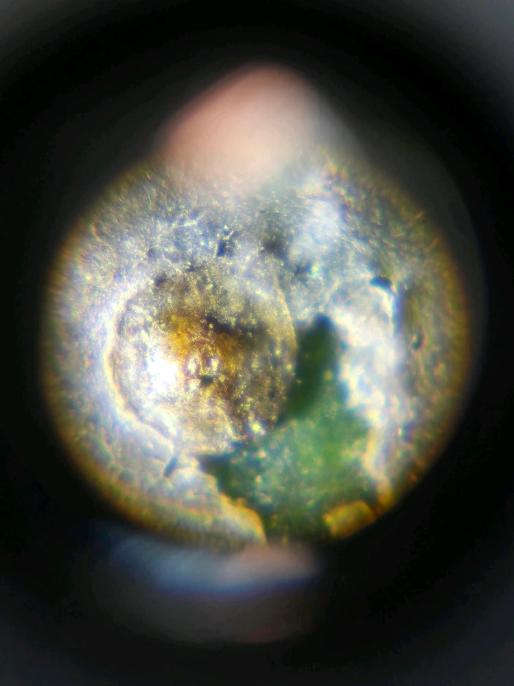 Image uploaded by Maria