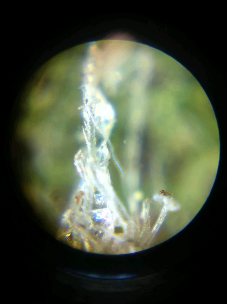 Image uploaded by Maria