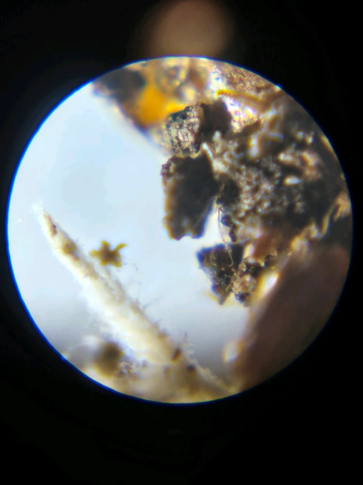 Image uploaded by Maria