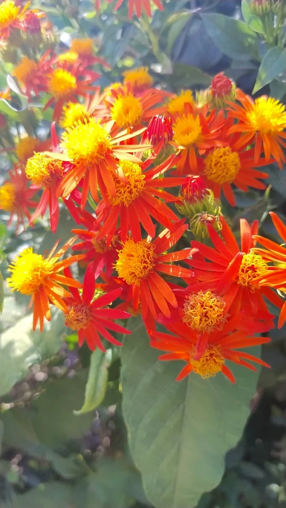 GIF subido por Sici Martínez