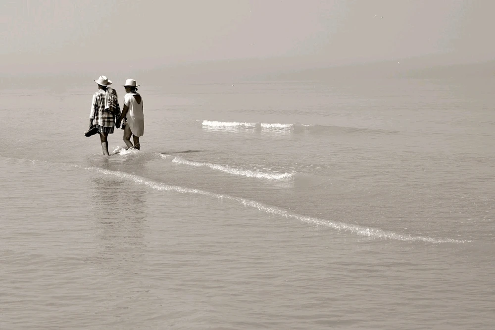 GIF ajouté par Stéphane