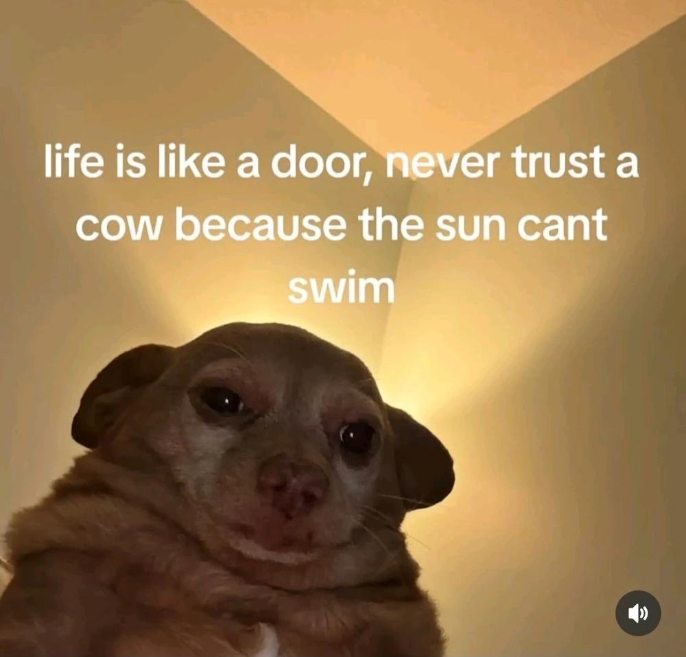 GIF uploaded by Marla Xxxinger