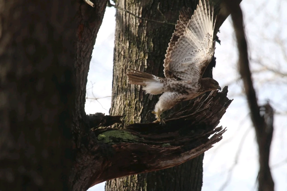 GIF uploaded by Andrew