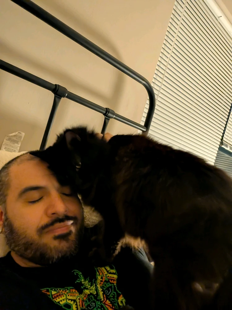 GIF uploaded by Orlando